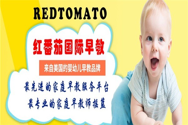 红番茄国际早教